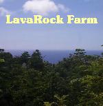 (image for) LavaRock Farm