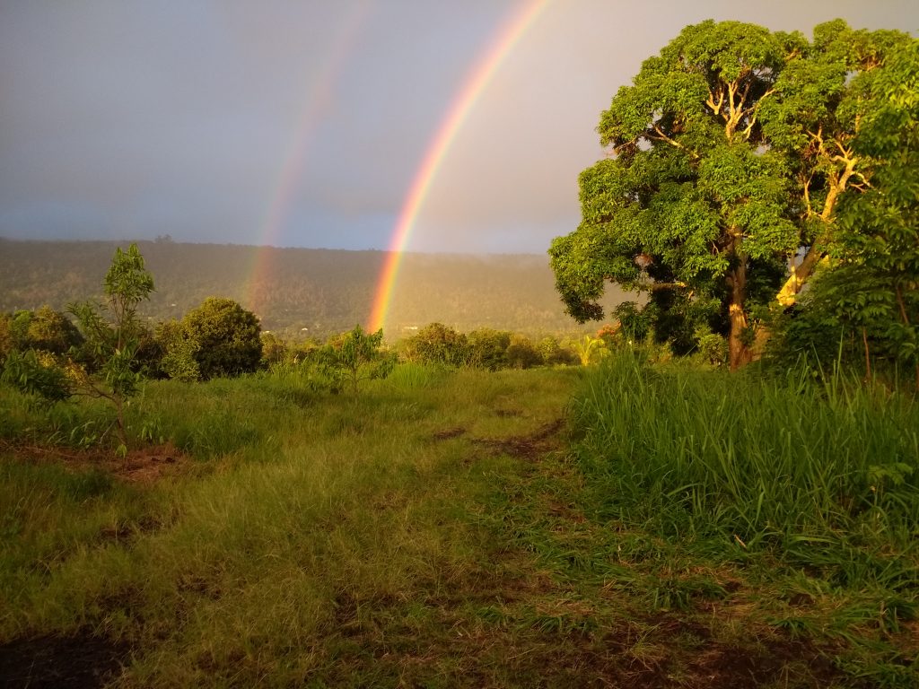 Rainbows Abound